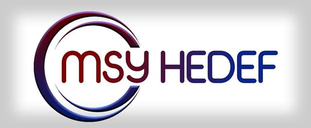 MSY Hedef logosu